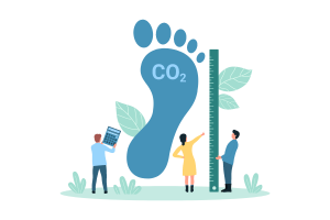 How businesses can reduce their carbon footprint using digital signatures